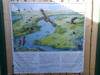 Photogallery